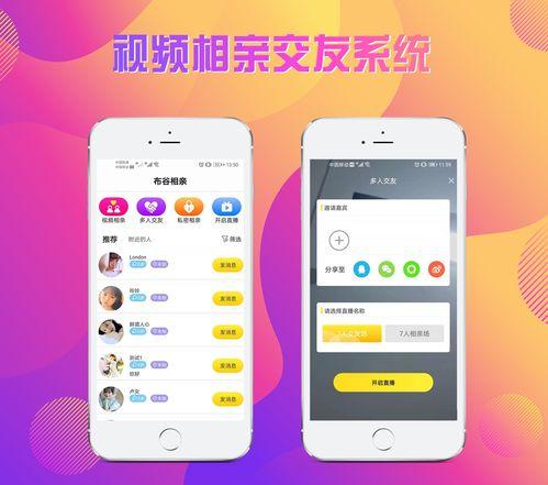 视频相亲平台,邂逅爱情的现代桥梁